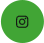icon ig